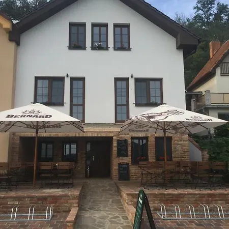 Sedivy Pensionat 3*