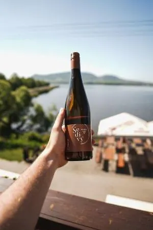 Гостевой дом Sedivy 3*